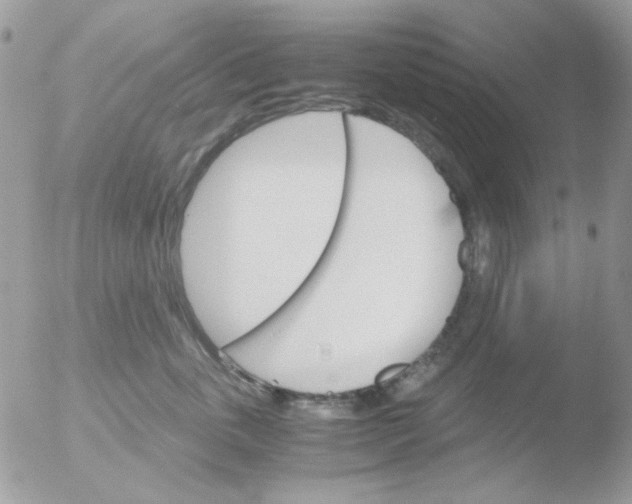 X0000051910763200507152031