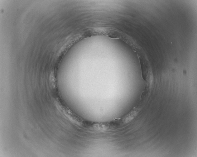 X0000051910764200507152031