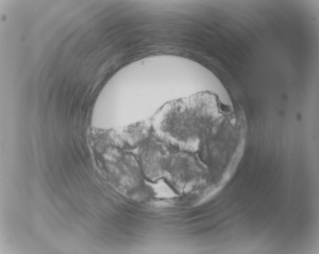 X0000051910765200507152031