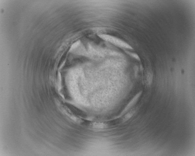 X0000051910766200507152031