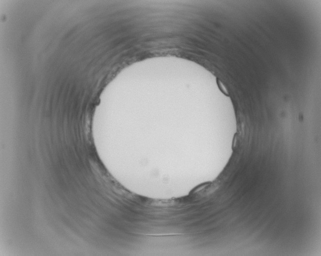 X0000051910767200507152031