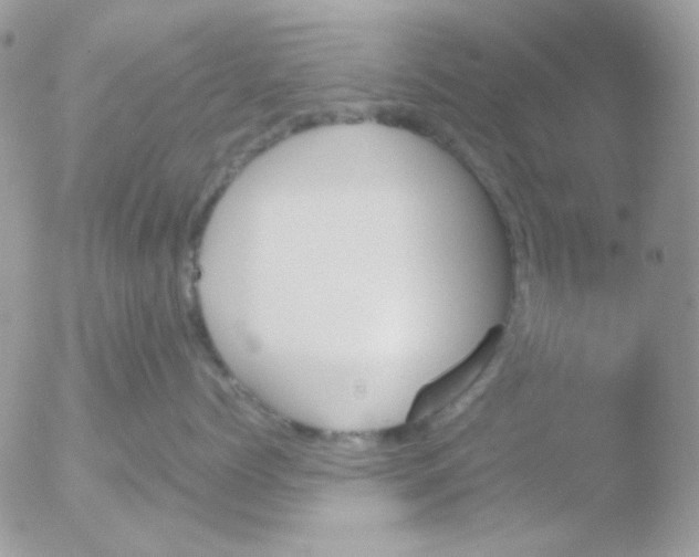 X0000051910768200507152031