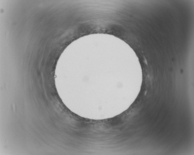 X0000051910769200507152030