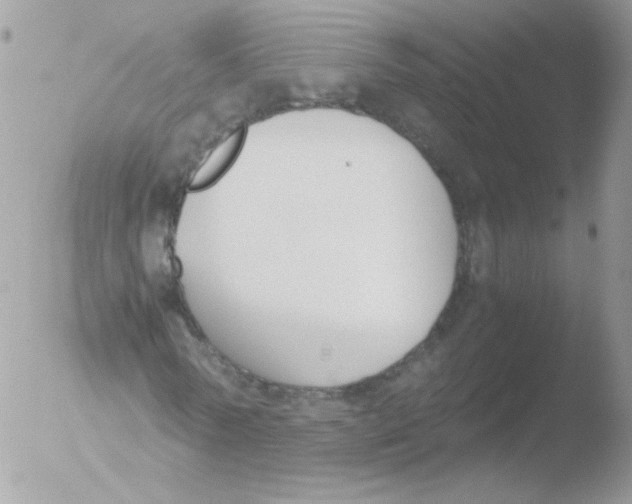 X0000051910770200507152030