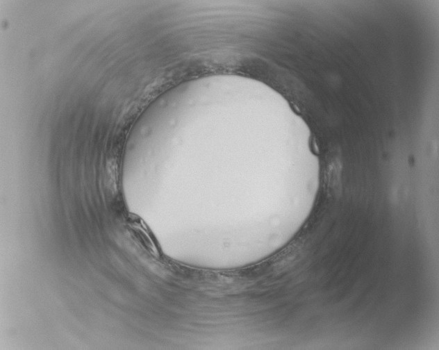 X0000051910772200507152030