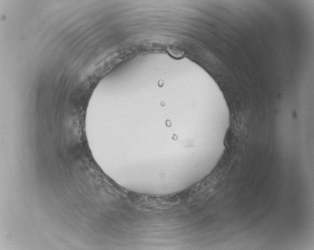 X0000051910774200507152030