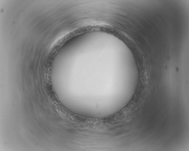 X0000051910775200507152030