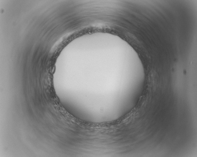 X0000051910776200507152030