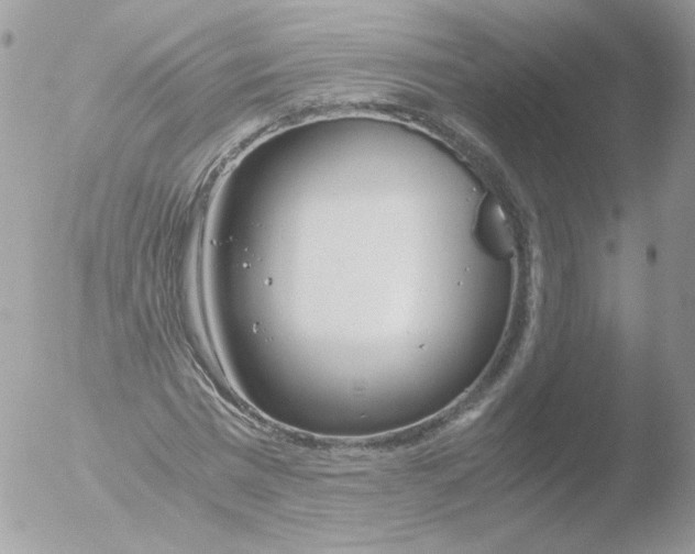 X0000051910777200507152030