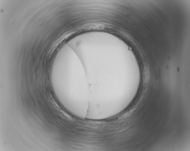 X0000051910778200507152030