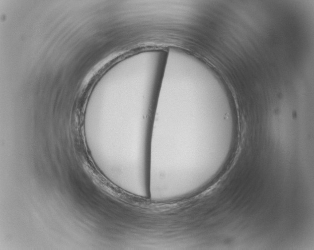 X0000051910779200507152030