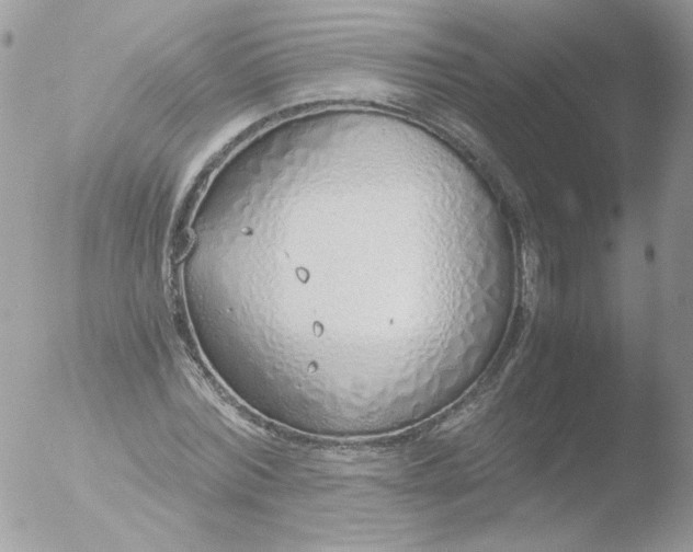 X0000051910780200507152030