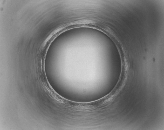 X0000051910781200507152030