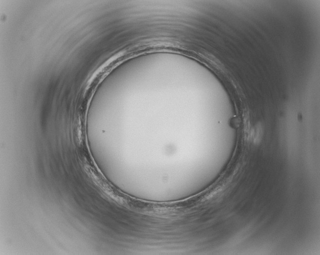 X0000051910782200507152030