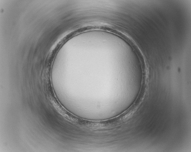 X0000051910783200507152030