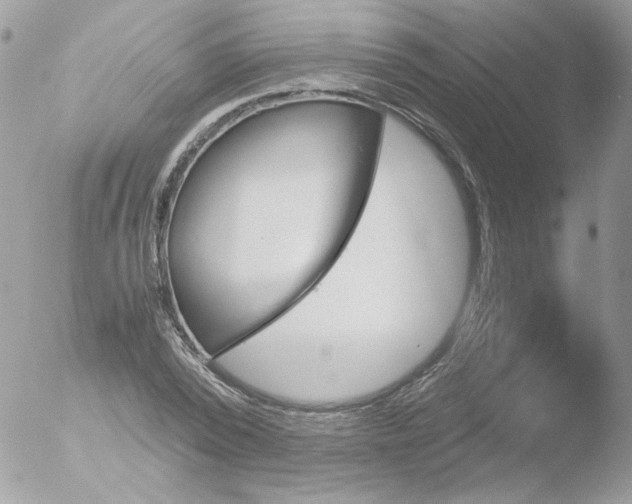 X0000051910784200507152030