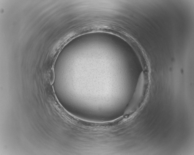 X0000051910785200507152030