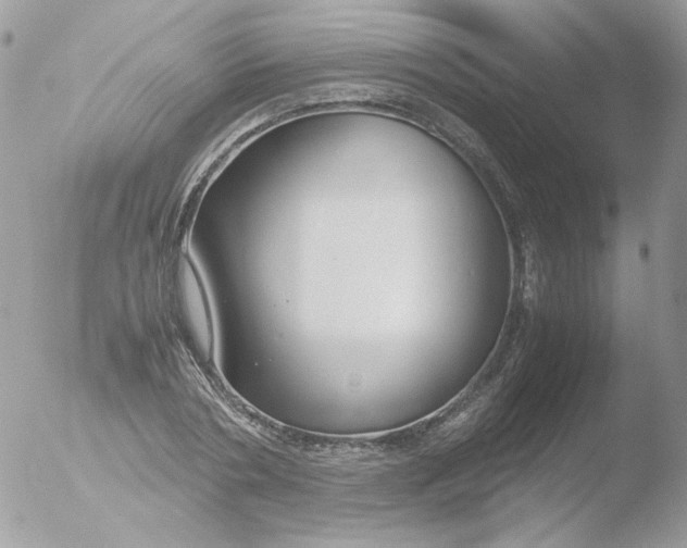 X0000051910786200507152030