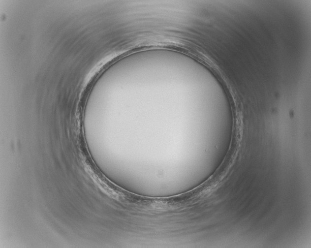 X0000051910787200507152030