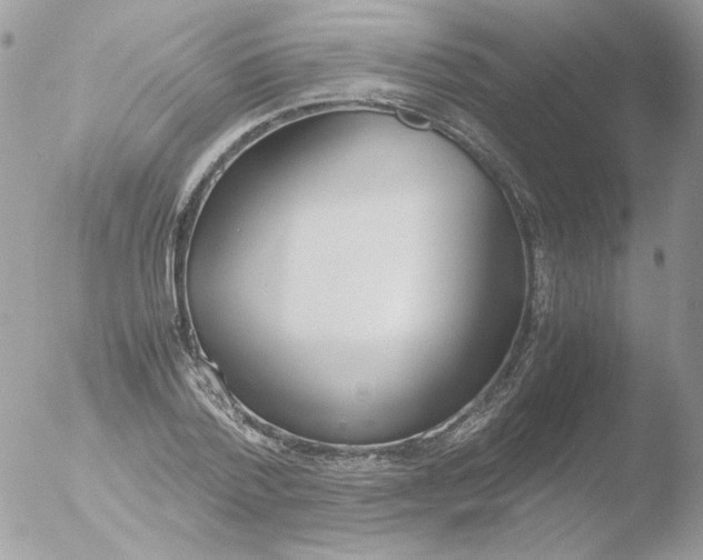 X0000051910788200507152030