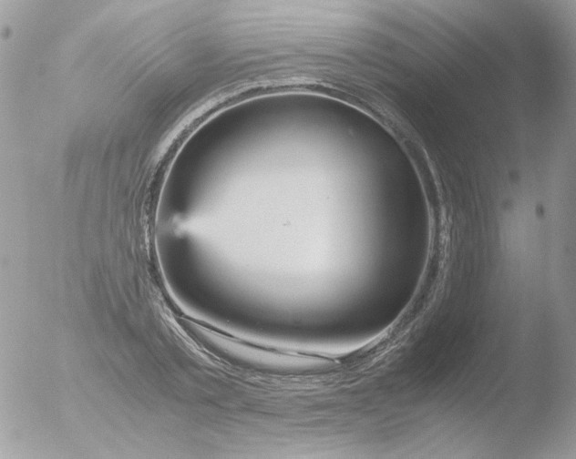 X0000051910789200507152030