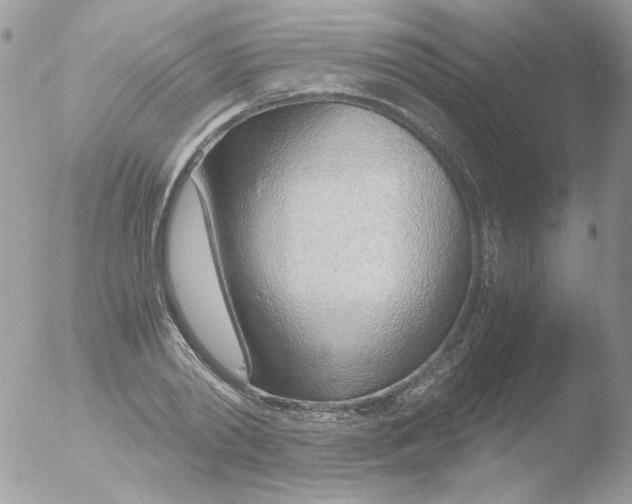 X0000051910790200507152030