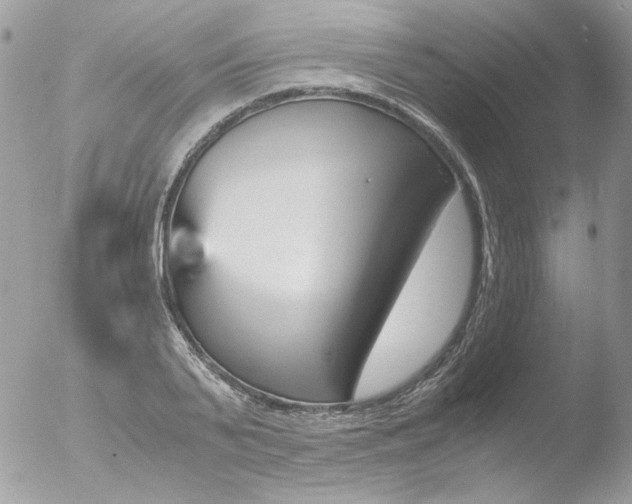 X0000051910791200507152029