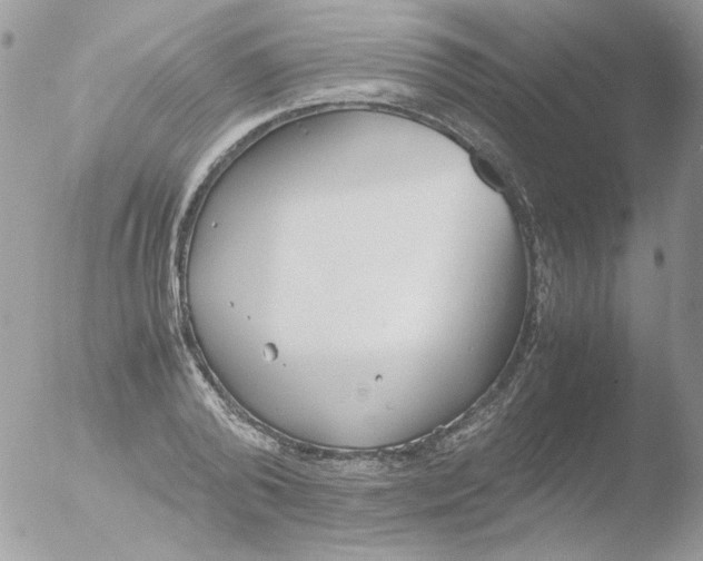 X0000051910792200507152029