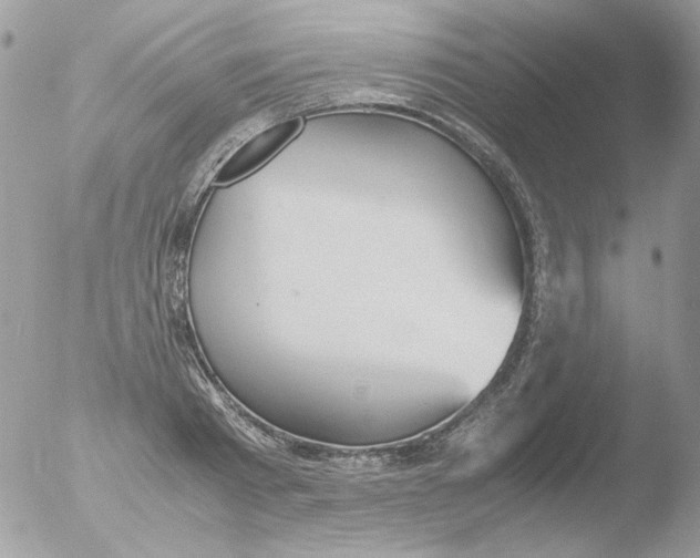 X0000051910793200507152029