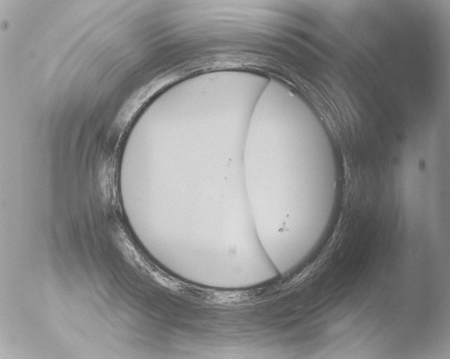 X0000051910794200507152029