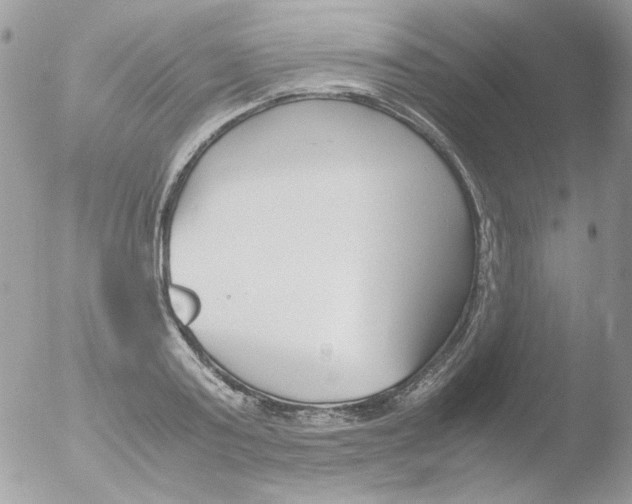 X0000051910795200507152029