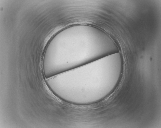 X0000051910797200507152029