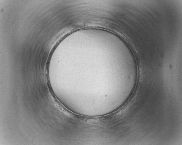 X0000051910798200507152029