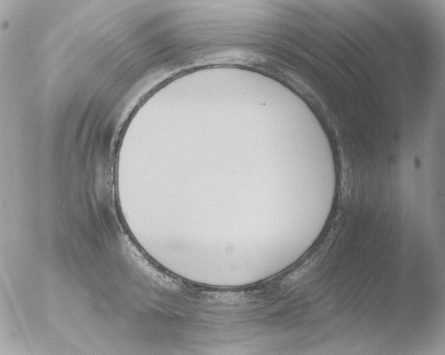 X0000051910800200507152029