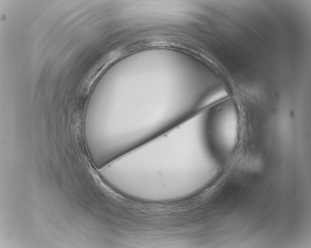 X0000051910801200507152029