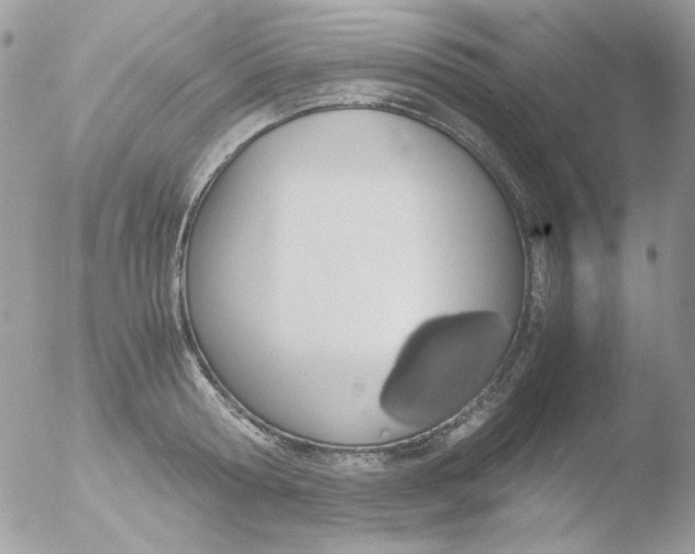 X0000051910802200507152029