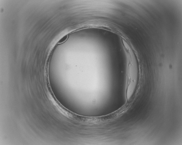 X0000051910803200507152029