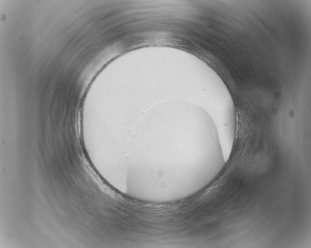 X0000051910804200507152029