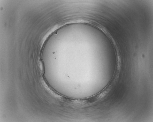 X0000051910805200507152029