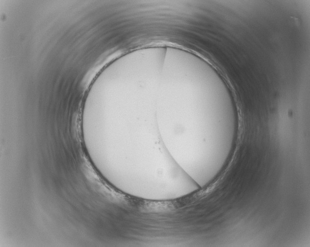 X0000051910806200507152029