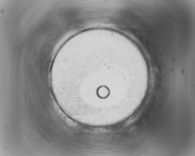 X0000051910807200507152029