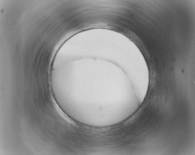 X0000051910808200507152029