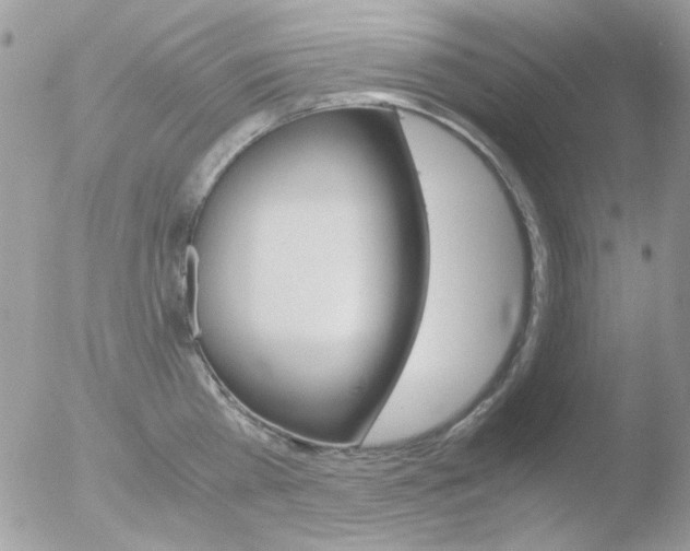 X0000051910809200507152029