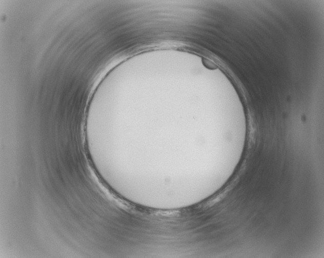 X0000051910810200507152029