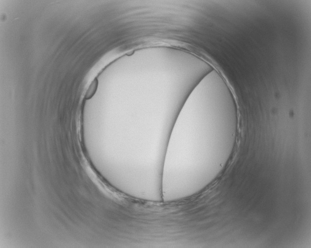 X0000051910811200507152029