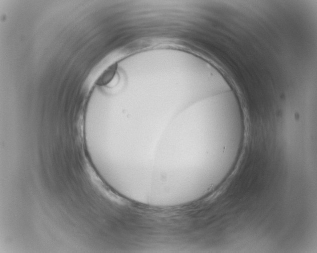 X0000051910814200507152029