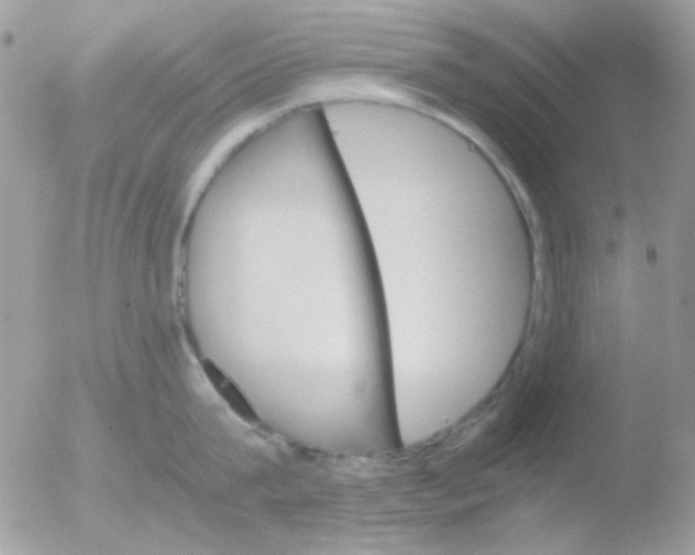 X0000051910815200507152029