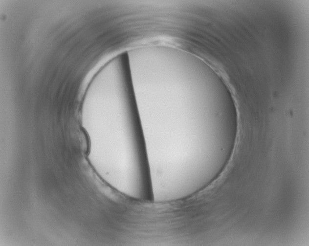 X0000051910816200507152029