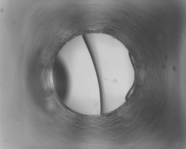 X0000051910817200507152028