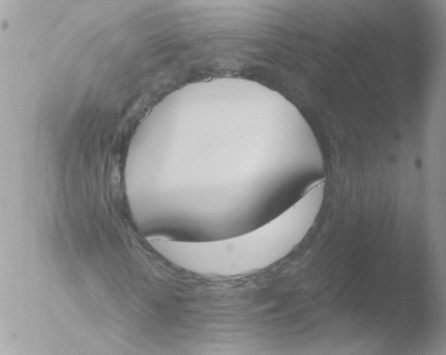 X0000051910818200507152028